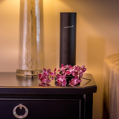 ScentWave Tower | Pure aroma. No water. No hassle.